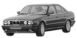 BMW E34 U2095 Fault Code